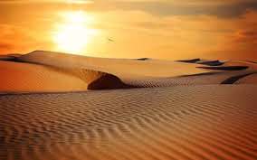 Głos z pustyni - Wypłyń na głębię